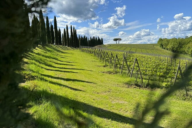 MONTALCINO Essence: Your PRIVAT E-Bike Experience, Top Quality! - Price & Logistics: Is It Worth It?