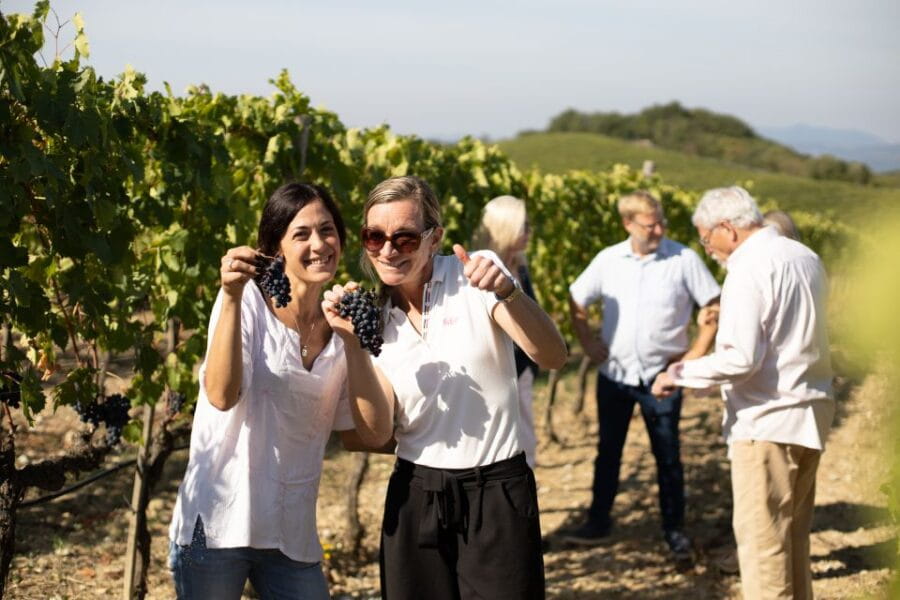 Montalcino: Guided Winery Tour and Wine Tasting - FAQs