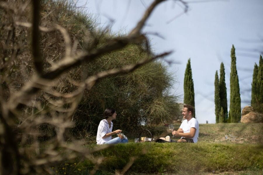 Montalcino: Vineyard Picnic with a Bottle of Wine - Who This Experience Is Best For