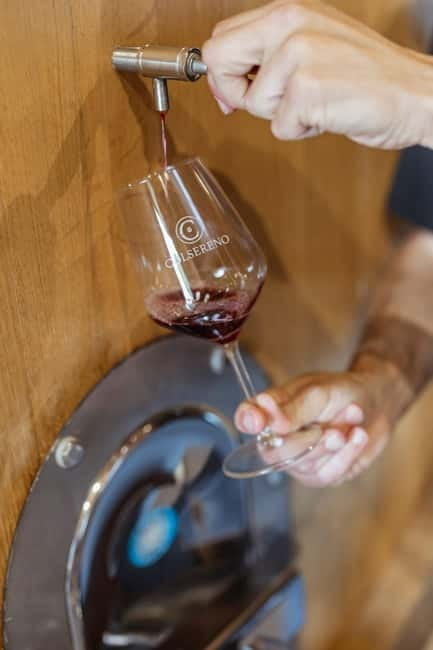 Montalcino: Wine Tasting and Tuscan Lunch - A Tour That Feels Like Visiting Family