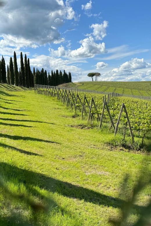 MONTALCINO:Privat E-Bike experience discovering Orcia Valley - Discovering Tuscany: A Detailed Look at the Private E-Bike Experience in Montalcino