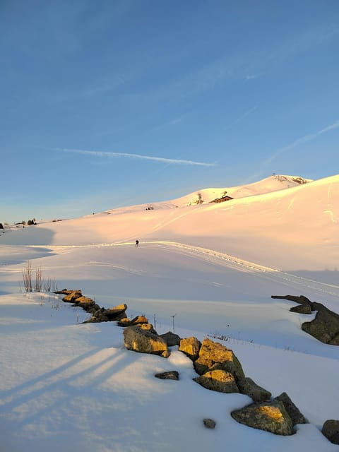 Montecampione 1800m: snowshoeing and winter hiking (daily) - Why This Snowshoeing and Winter Hiking Tour Works