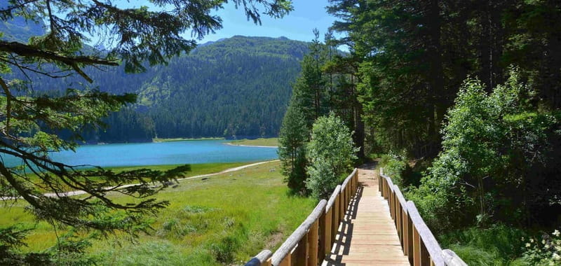 Montenegro Canyons day trip from Herceg Novi - Visiting the Moraca Monastery: A Step Back in Time