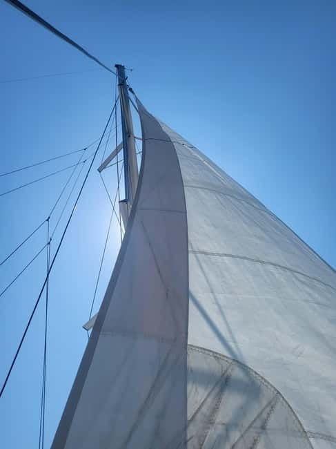 Montenegro: Private Boat Charter with Skipper - The Vessel Options: Luxury Yachts, Speedboats, and RIBs