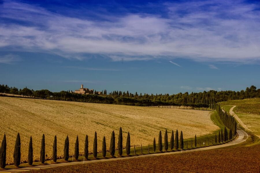 Montepulciano and Pienza: the best of Tuscany! - Savoring Authentic Tuscan Flavors