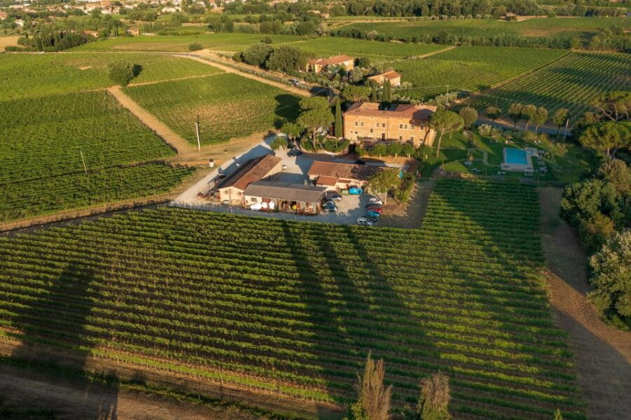 Montepulciano: Guided Winery Tour with Tasting & Appetizers - What You Can Expect During the Tour