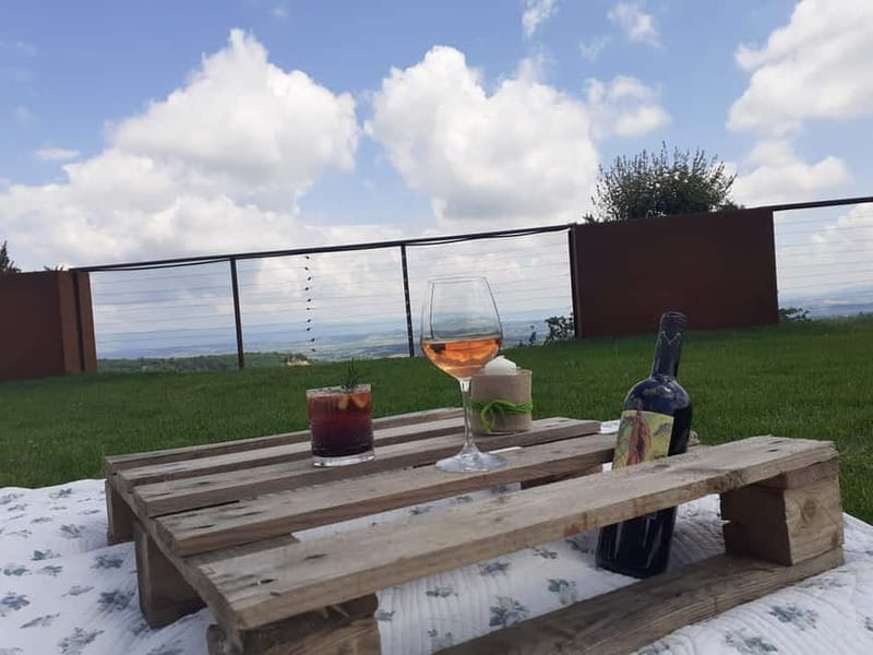 MONTEPULCIANO - PIC NIC WITH WINE! SURROUNDED BY VINEYARDS - FAQ