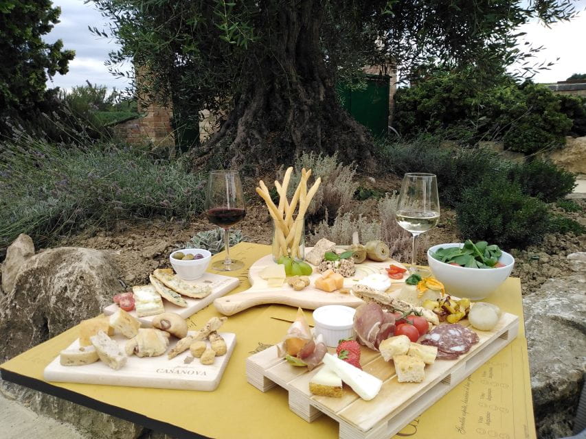 Montepulciano: Tuscan Winery Tour with Wine Tasting & Meal - The Vineyard Setting & the Romantic Dinner