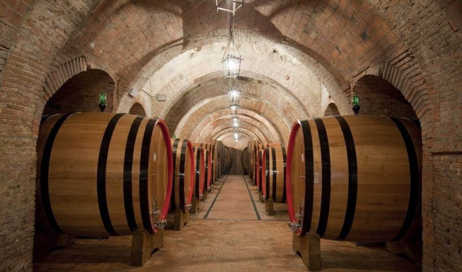 Montepulciano: Wine Tasting & Lunch in a Typical Winery - Who Will Love This Tour?