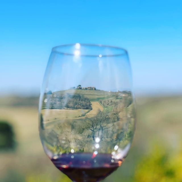 Montepulciano: Wine Tour and tasting - A Taste of History and the Vineyard Tour
