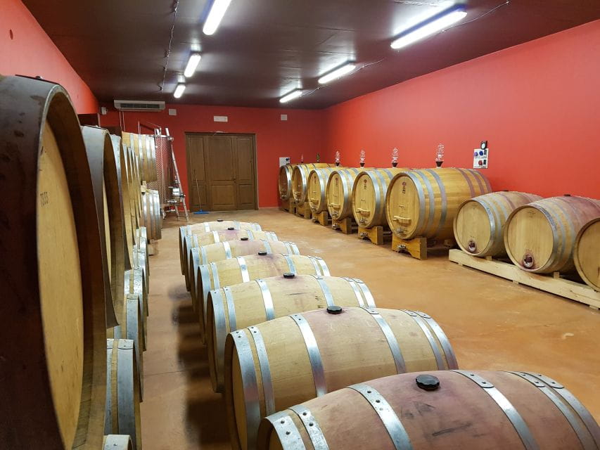 Montepulciano: Winery Tour, Tasting, and Vineyard Picnic - The Vineyard Picnic: Simple, Satisfying, Scenic