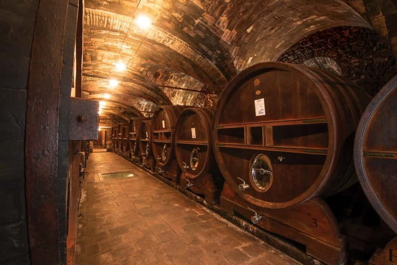 Montone: e-bike tour of the medieval village and visit to a winery - Who This Tour Suits Best