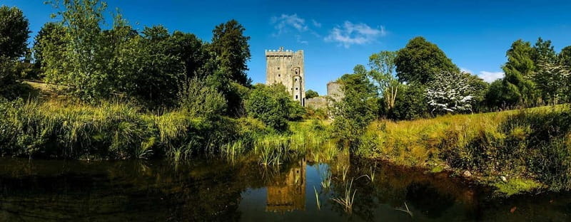 Morning Blarney Castle & Kinsale Half Day Tour from Cork - In-Depth Look at the Itinerary