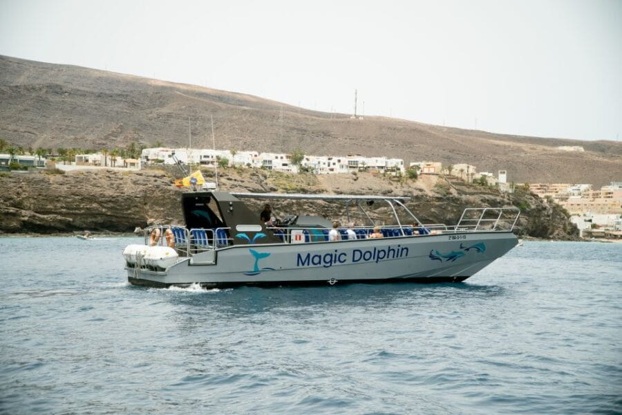 Morro Jable: Dolphin & Whale Watching Cruise, Drinks & Swim - Price and Value: Is It Worth It?