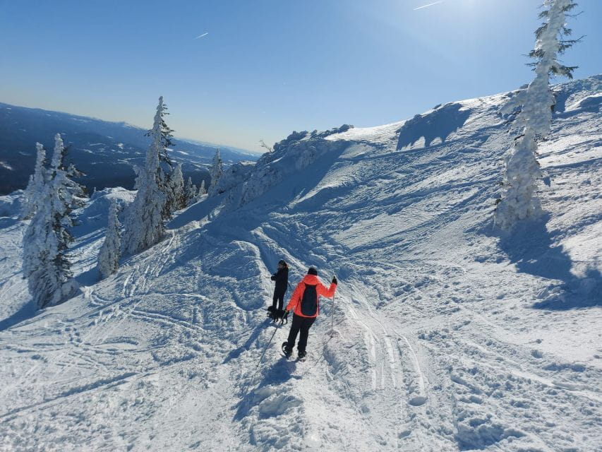 Mount Arber: Snowshoeing in the Bavarian Forest Guided Tour - Price and Value: Is It Worth It?