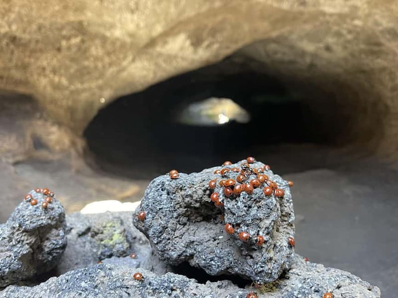 Mount Etna: All around on E-Bike - Practicalities and Logistics