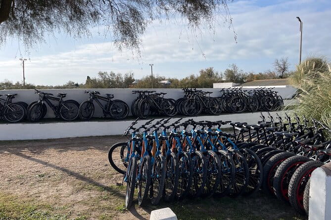 Mountain bike rental in Camargue - Who Will Love This Experience?