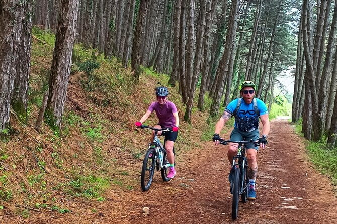 Mountain Biking on Vrmac peninsula - Panoramic view on Kotor bay - The Sum Up: A Ride Worth Taking for Scenic Views and a Bit of an Adventure
