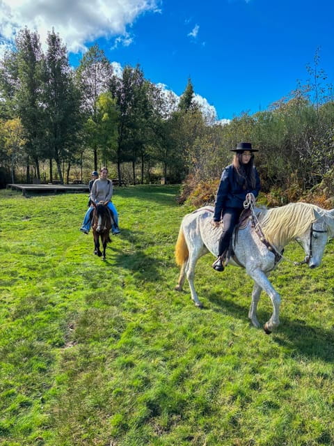 Mountain Horseback Ride, Lunch, Wine Tasting - Price and Logistics: Is It Worth It?