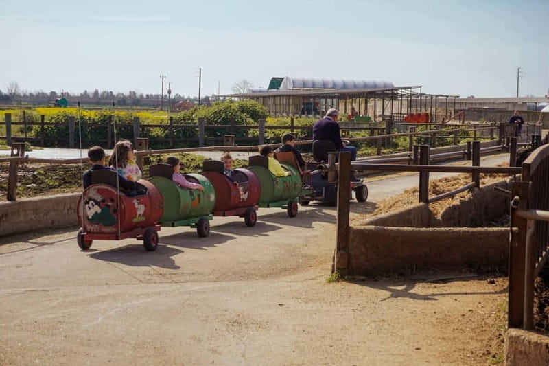 Mozzarella experience: discovering the art of cheese making - Exploring the Santa Lucia Farm: A Step Into Traditional Cheese Making