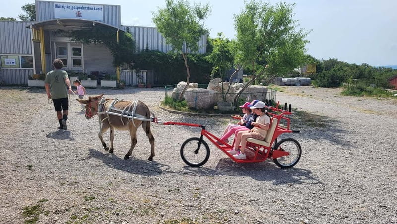 mrika (near Rijeka/Krk/Crikvenica) Donkey Farm Family Fun - The Logistics: Practical Tips for Visiting