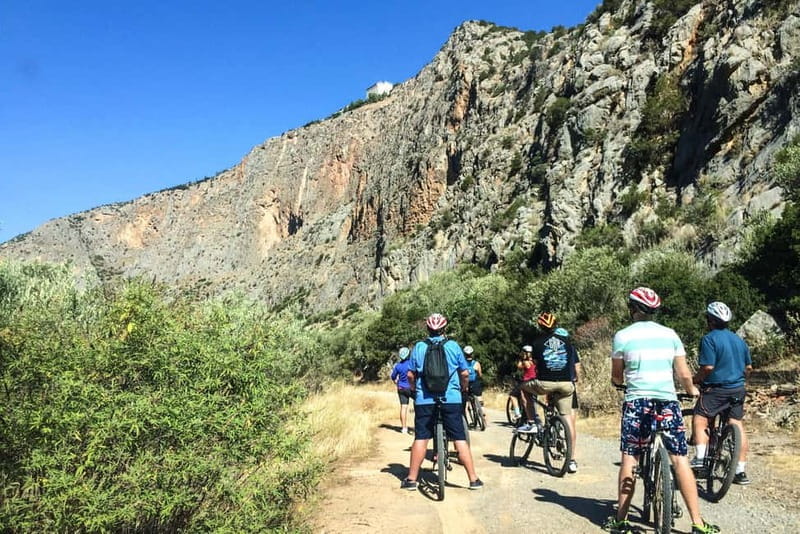 Mt. Parnassos: Mountain Bike in Altitude Forest - Price & Logistics: Is It Worth It?