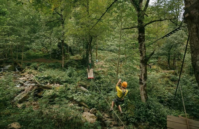 Mtirala National Park 2-Day Guided Hiking Tour from Kutaisi - Rest Stops and Scenic Breaks