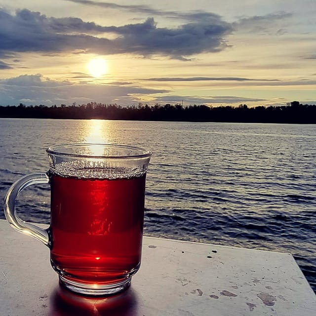 Mulled wine ride in the Leipzig New Zealand - Key Points / Takeaways