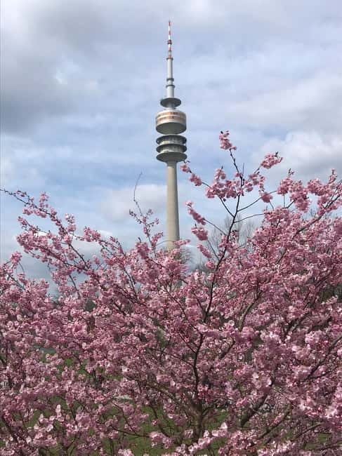 Munich: Bulli Tour - Practical Tips for Booking and Enjoyment