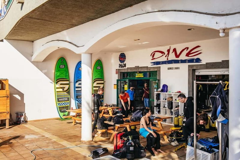 Museo Atlántico: Scuba Dive Lesson for Non-Certified Divers - Who Will Love This Experience?