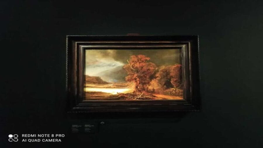 Museo Czartoryski: Visita in italiano e salta la fila. - Entering The Czartoryski Museum