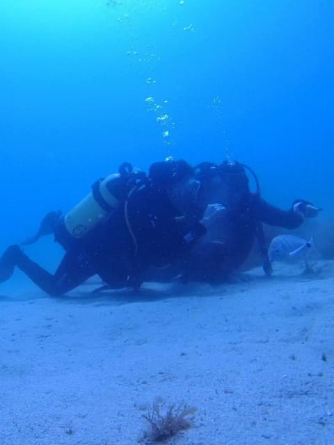 My first scuba dive in the Ocean from Madeira - Who Should Consider This Experience?