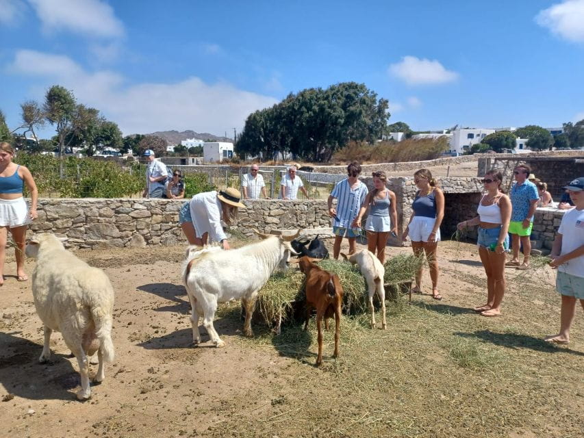 Mykonos Highlights Tour - Ano Mera: Village Life and Monastery
