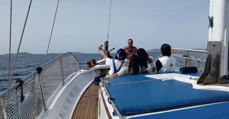 Mykonos: Little Venice and Agios Stefanos Cruise with Lunch - Who is This Tour Best For?