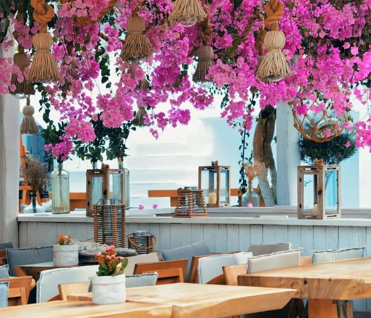 Mykonos: Private Island Tour with Transfers and Greek Meal - Price and Value: Is It Worth It?