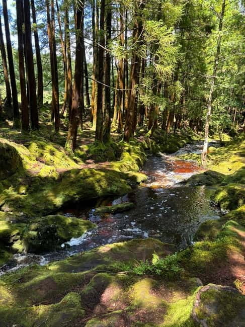 Mystery Tour of Terceira Island - Why This Tour Offers Great Value