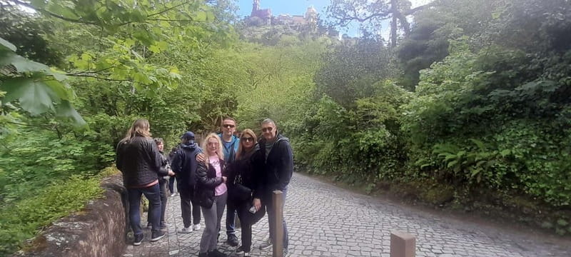 Mystic Tours by Sintra - Small-group Van Transportation: Comfort and Flexibility