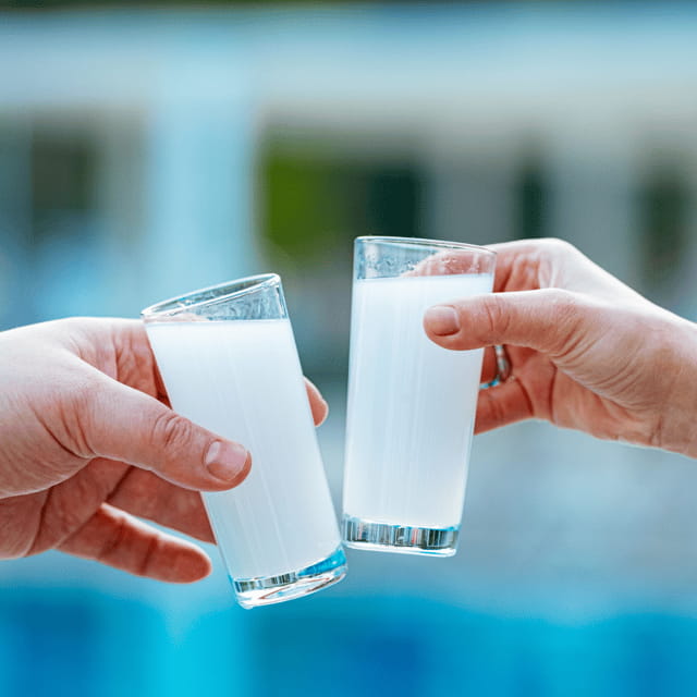 Nafplio: Greek Spirits Tasting - Final Thoughts: Who Should Book This?