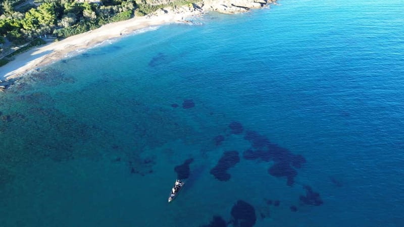 Naousa: Rineia, Delos, & Naxos Day Trip by Boat with Drinks - What You Can Expect at Each Major Stop