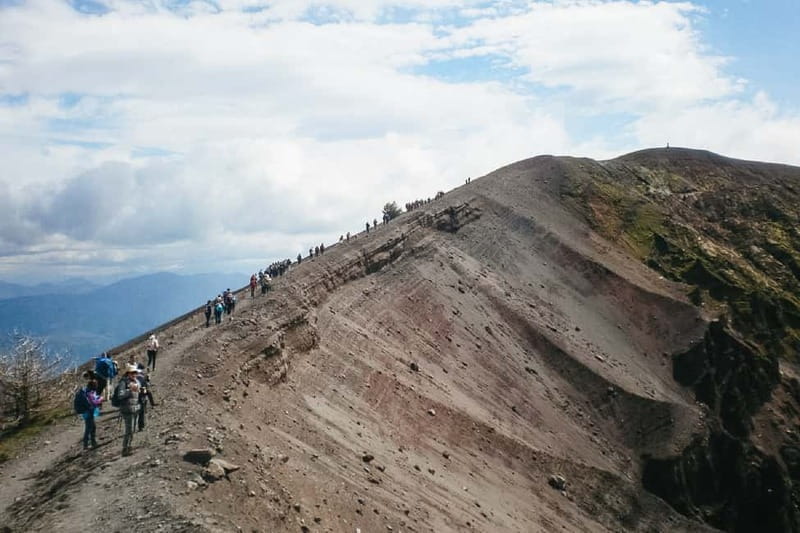 Naples: Pompeii and Vesuvius Day Trip - Who Will Love This Tour?