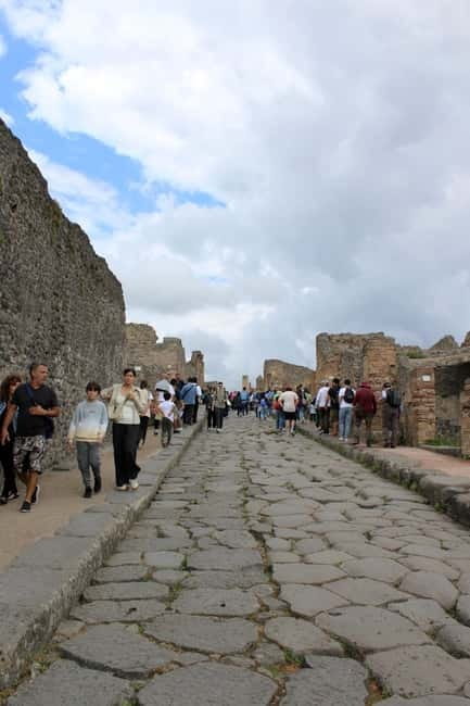 Naples: Private Pompeii & Vesuvius Tour with Driver - Who will love this tour?