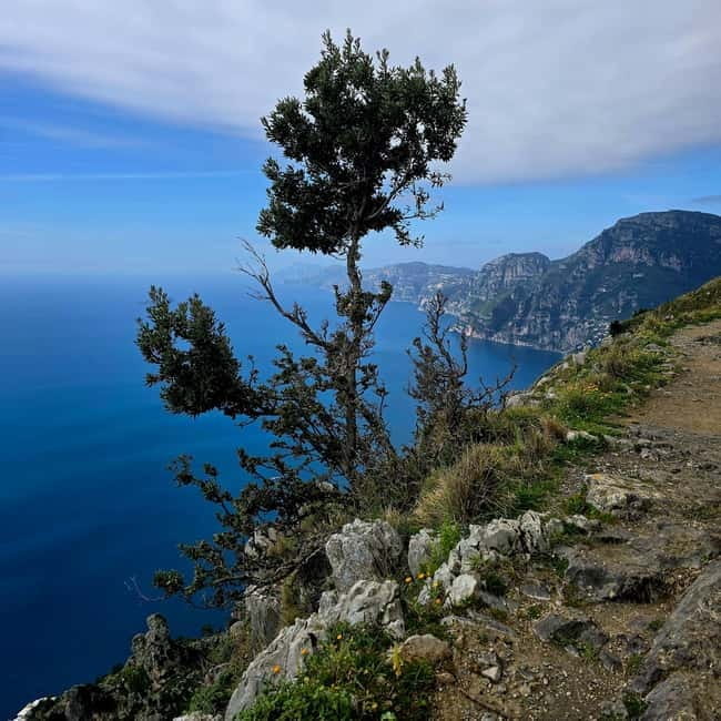 Naples: Private Tour of the Idei Trail - Price and Value