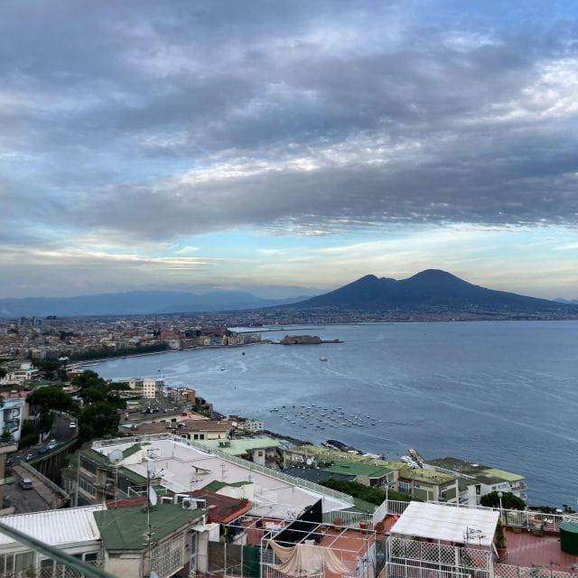 Naples to: Pompei , Vesuvius, Ercolano - Who Is This Tour Best For?