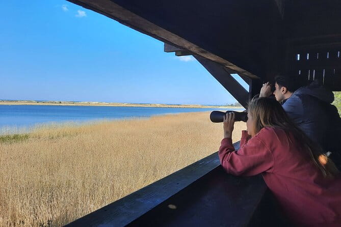 Nature Walk and Wildlife Tour in Sobieszewo Island - Who Is This Tour Best For?
