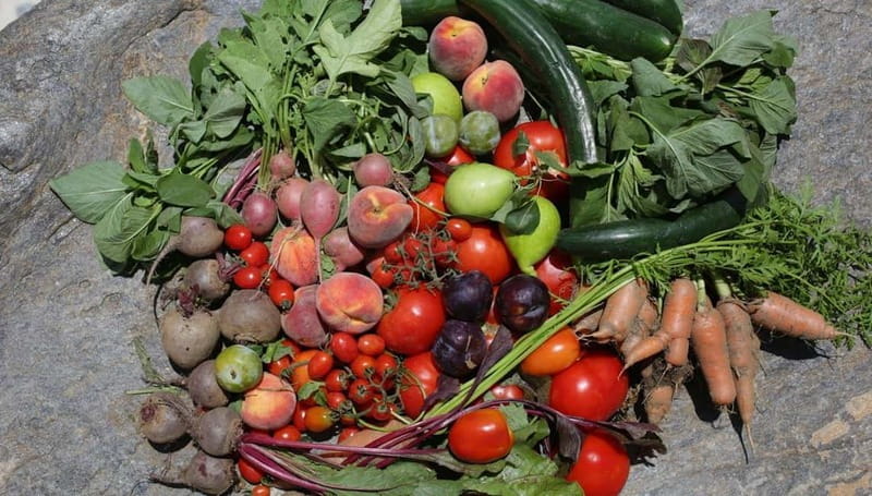 Naxos: Hands-On Cooking Class with Local Wine - Final Thoughts: Why This Is a Standout Experience