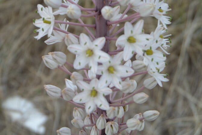 Naxos: Inland hike to explore local villages & antiquities - The Sum Up