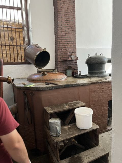 Naxos: Private E-Bike Tour with Wine Tasting Inland Methexis - The Vineyard and Wine Tasting: A Mediterranean Gem