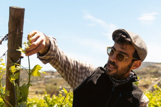 Naxos Private / Semi Private E-Bike Guided Tour Inland Methexis - What Makes This Tour Special?