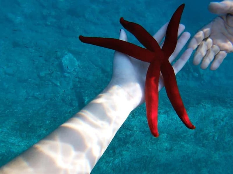 Naxos: Taormina Boat Tour with Snorkeling and Prosecco - Snorkeling and Marine Experiences in Sicily’s Crystal Waters