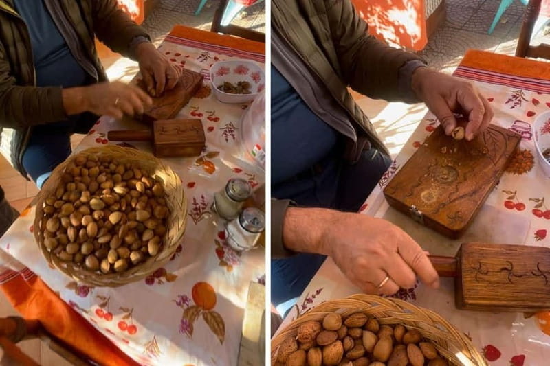 Near Cagliari: Almond Blossom Magic at "In Our Garden" (new) - A Deep Dive into the Almond Grove Tour